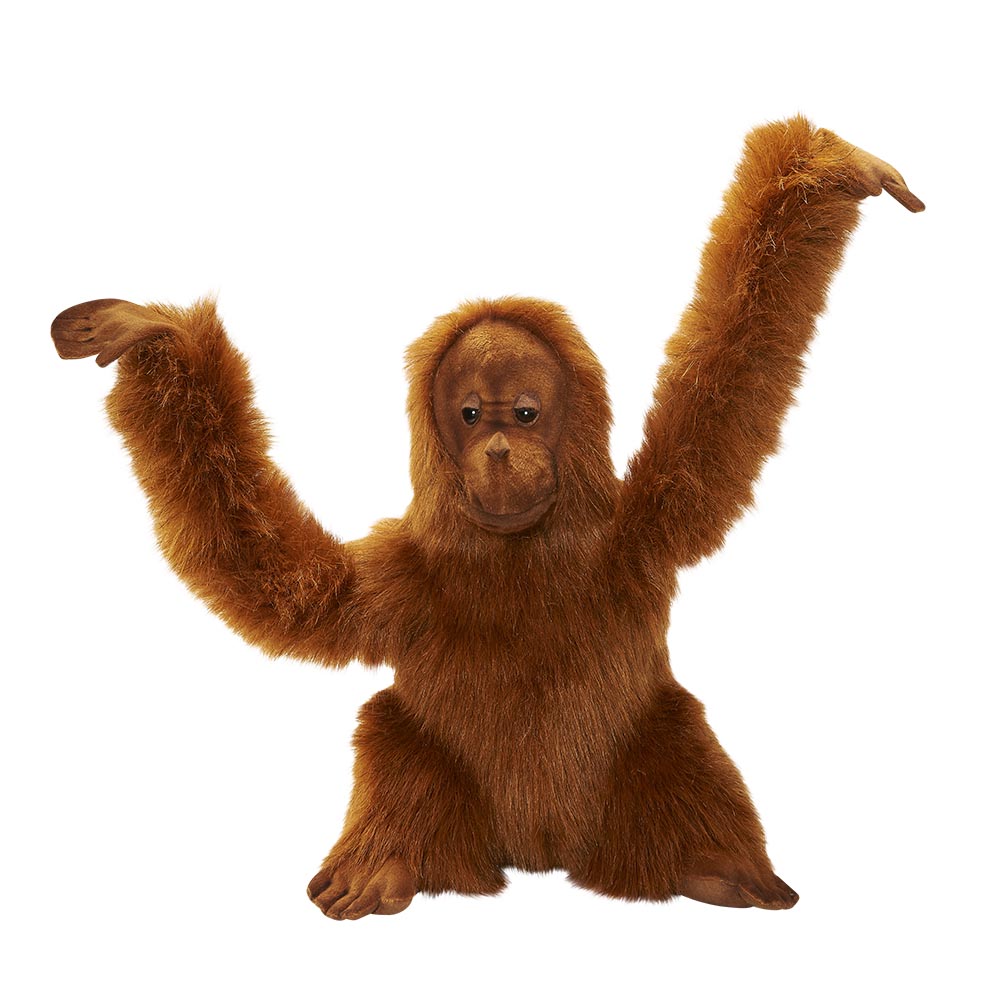 Orang Outan Bébé 42cmH