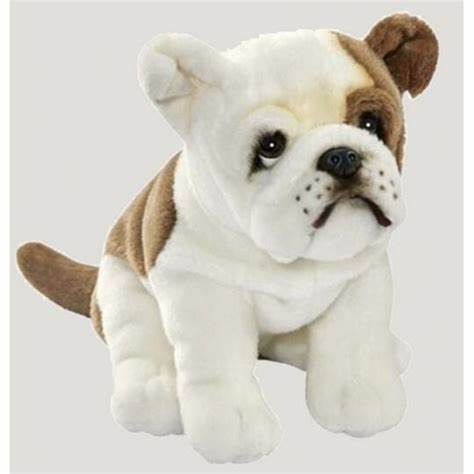 BULDOG FRANCAIS ASSIS 30 CML