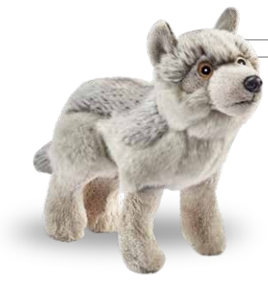 LOUP GRIS 