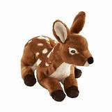 FAON COUCHE 24 CM