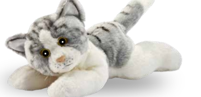 CHAT GRIS/BLANC COUCHE 30 CML