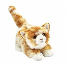 CHATON JOUEUR ROUX 20CML