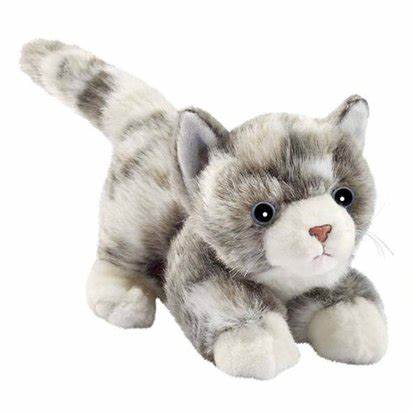 CHATON JOUEUR 