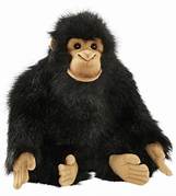 CHIMPANZE BB 25 CMH