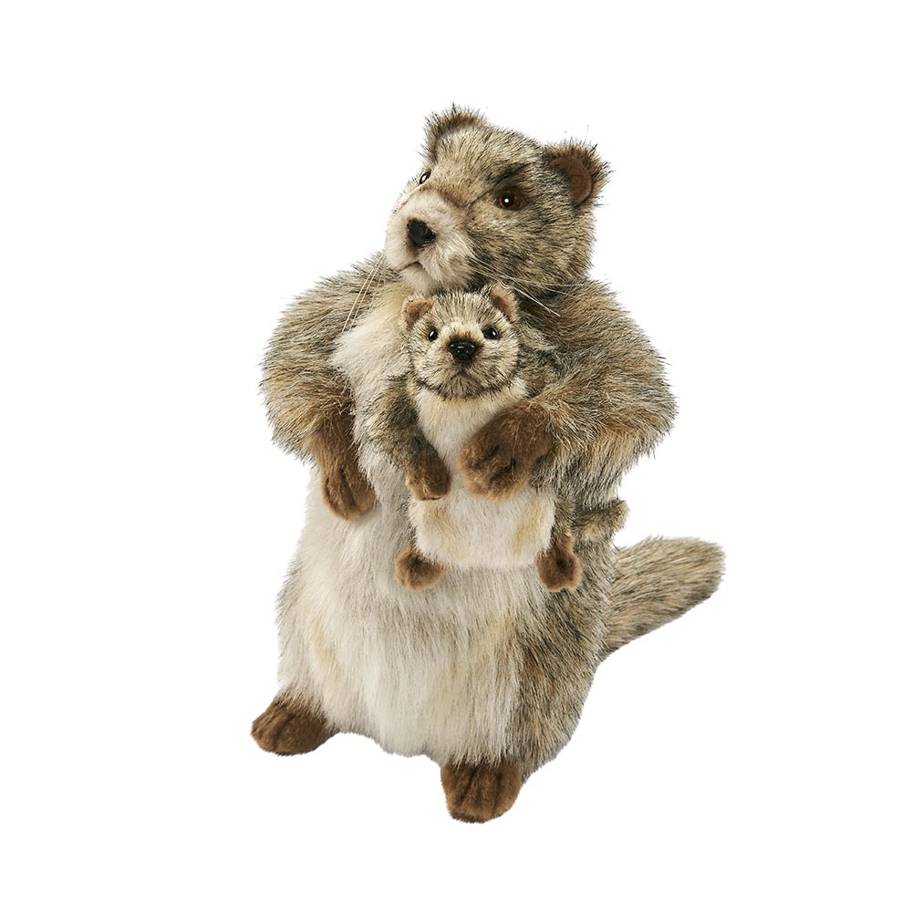 MARMOTTE AVEC BB