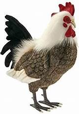COQ 
