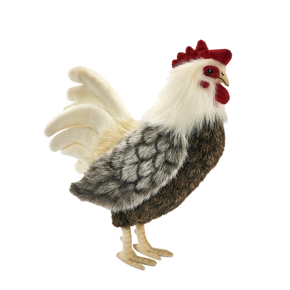 COQ 