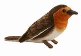 OISEAU ROUGE GORGE 