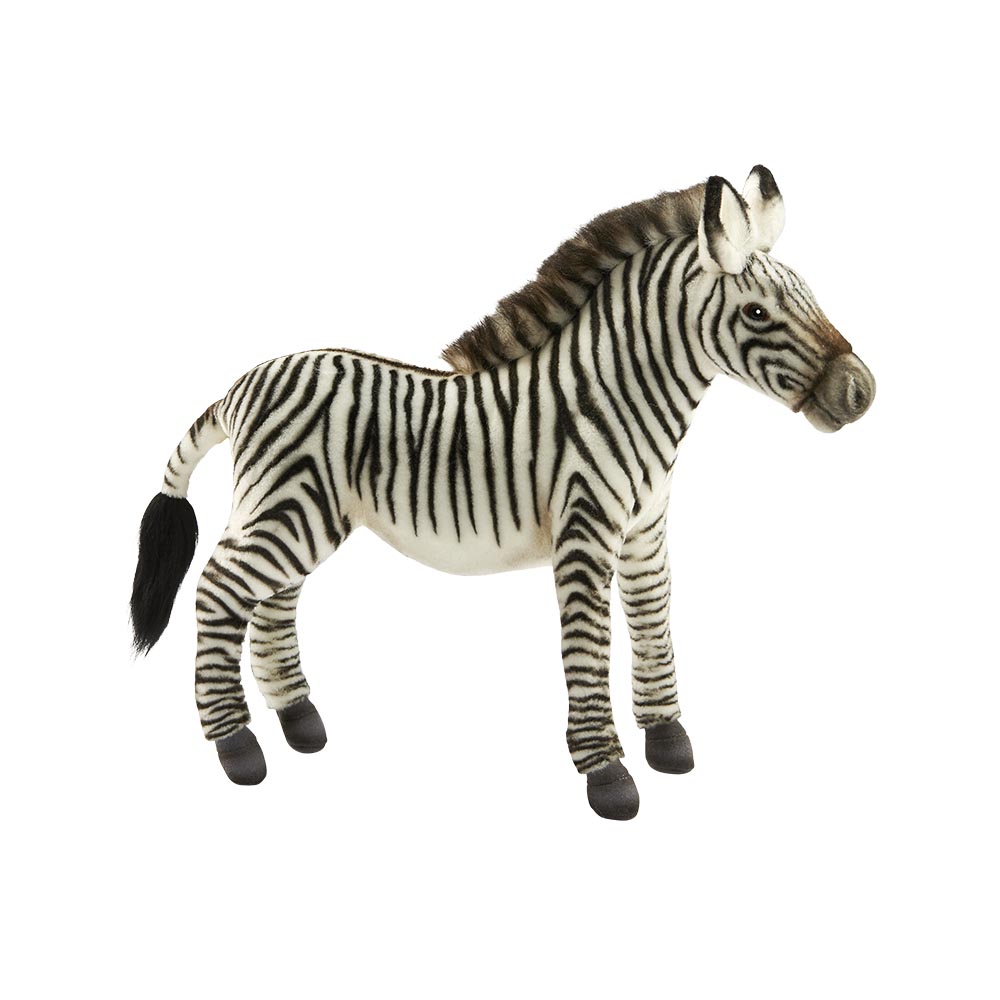 ZEBRE