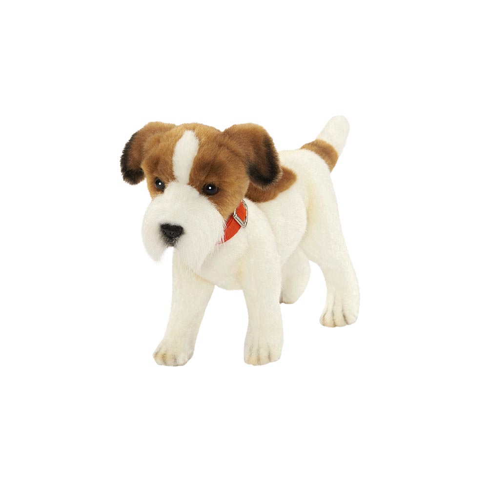 JACK RUSSEL 