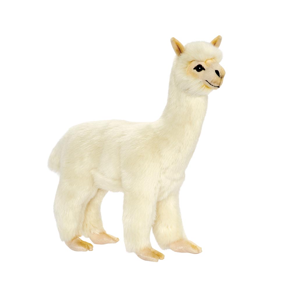 LAMA