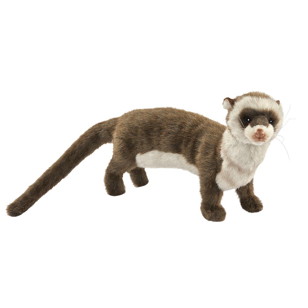 FURET