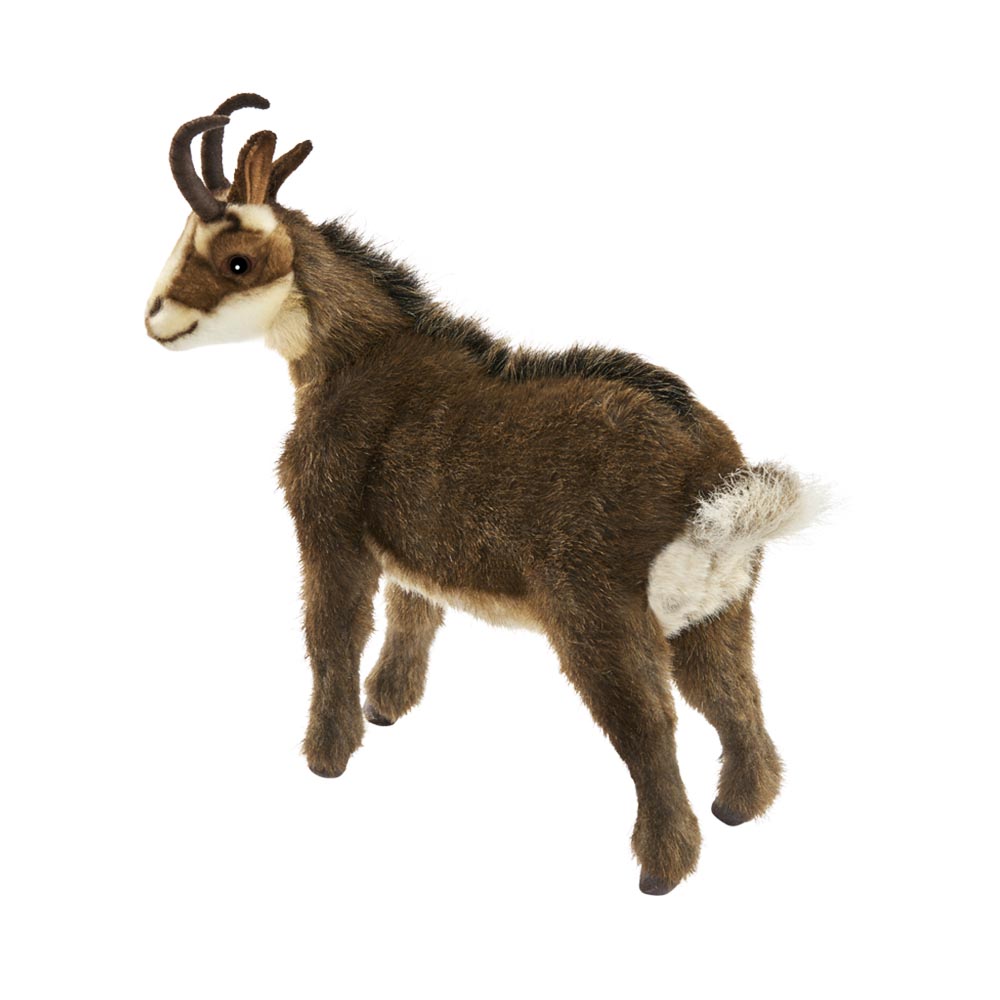 CHAMOIS