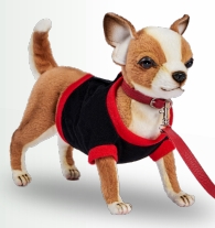 CHIHUAHUA AVEC GILET ROUGE